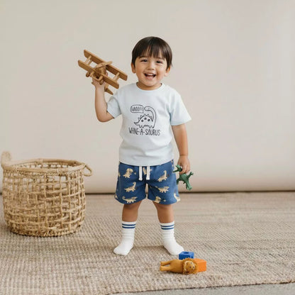 Anakku Toddler Boy Combo Set